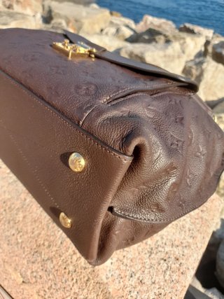 Metis hobo