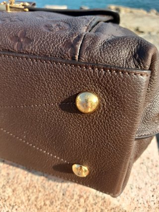 Metis hobo