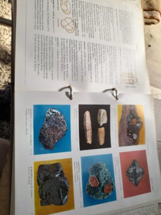 Libro Minerali Scheelita-daco 1966
