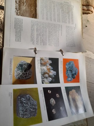 Libro Minerali Scheelita-daco 1966