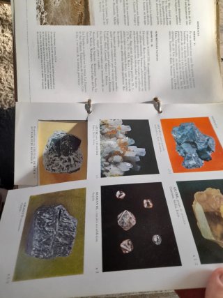 Libro Minerali Scheelita-daco 1966