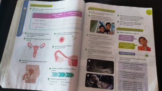Ciencias da naturaleza, 6 Primaria, Proxecto Co...