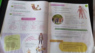 Ciencias da naturaleza, 6 Primaria, Proxecto Co...