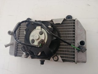 Radiador Honda Forza 2005-2009