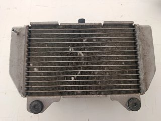 Radiador Honda Forza 2005-2009