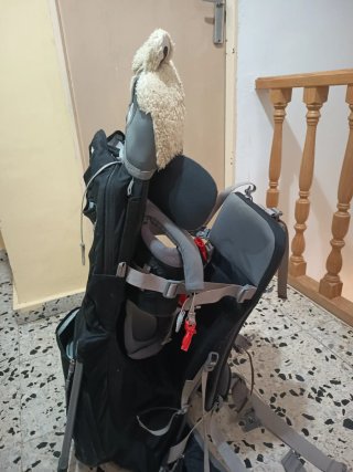Mochila de porteo Vaude para montaña