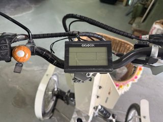 Triciclo eléctrico 1000W