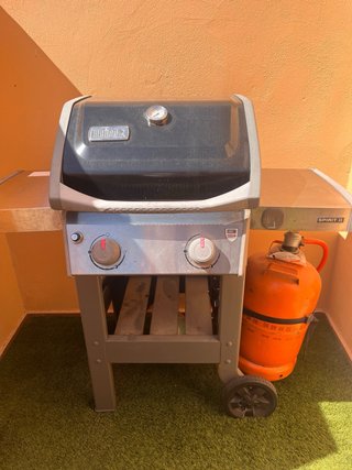 Barbacoa de gas Weber Spirit II