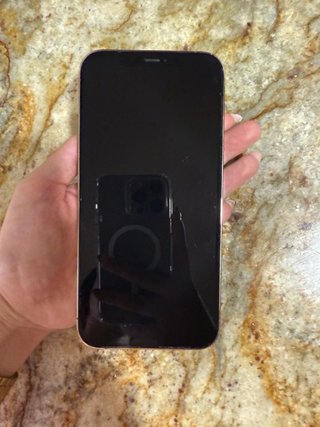 iPhone 12 Pro Max 256GB Oro