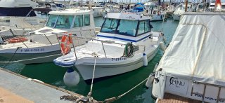 Barco Fibresport