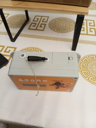Abridor Automático Puerta Gallinero