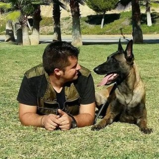 Adiestramiento Canino Profesional