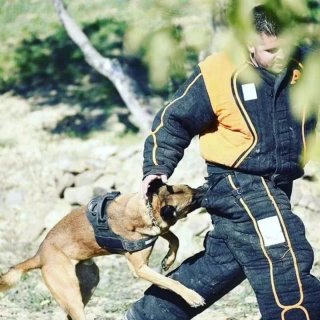 Adiestramiento Canino Profesional