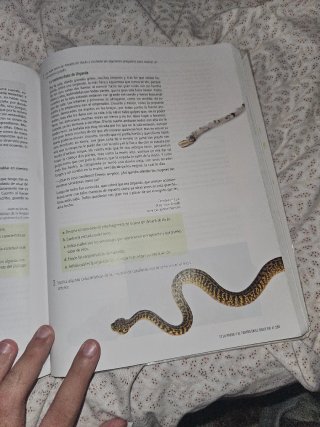 Lengua castellana y literatura 1 Bachillerato