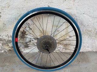 Rodillo Elite Force + rueda Tacx y cassette