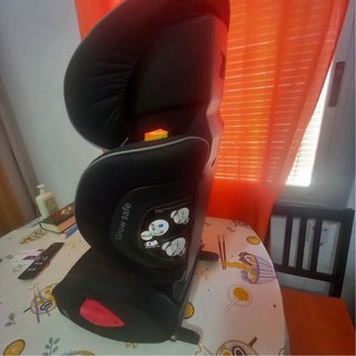 Silla de coche MS Fast