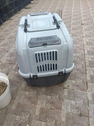 Transportín IATA para perros