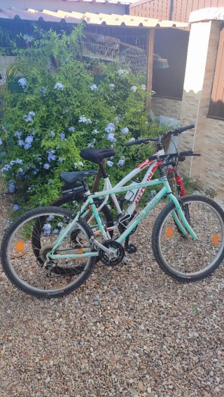 Bicicleta Btwin MTB B y bicicleta SHOGUN TRAIL