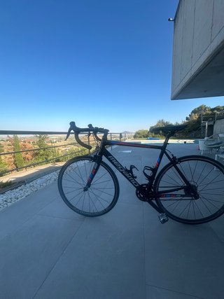 Megamo R8 Bicicleta de Carretera