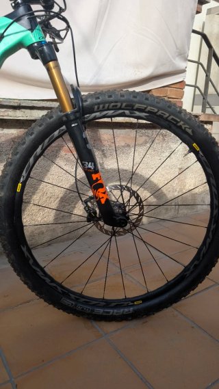 Orbea Oiz