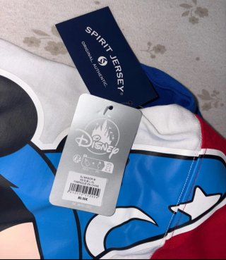 Spirit Disney Magic Mickey mouse
