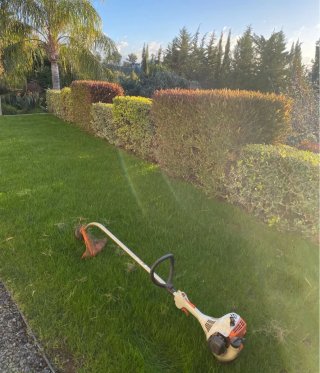 JARDINERO ECONÓMICO