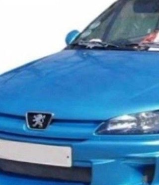 Paragolpes Delantero Peugeot 306 97-01 Combat II