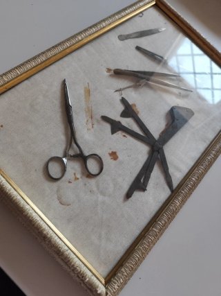 Vecchio quadro strumenti veterinaria