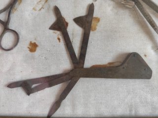 Vecchio quadro strumenti veterinaria