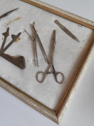Vecchio quadro strumenti veterinaria
