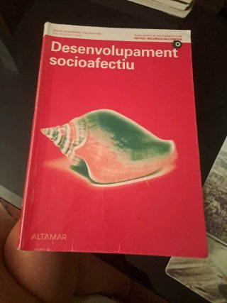 DESENVOLUPAMENT SOCIOAFECTIU GS CATALAN 22 CF