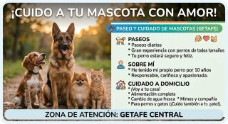 Cuidador de perros