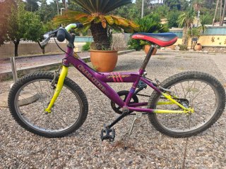 Bicicleta GES Yeti 20