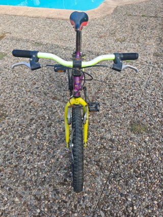 Bicicleta GES Yeti 20