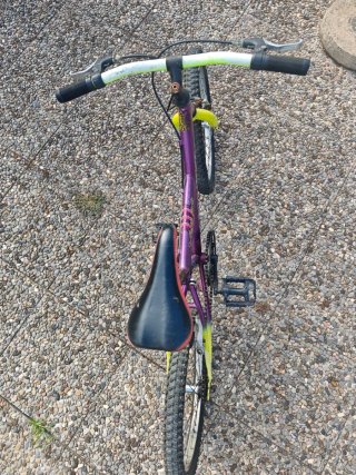 Bicicleta GES Yeti 20