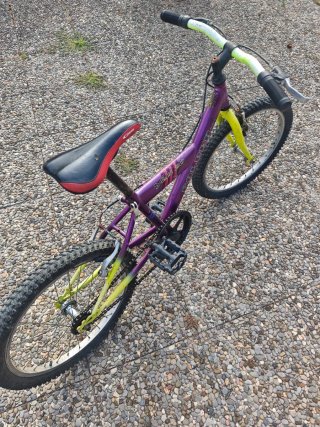 Bicicleta GES Yeti 20