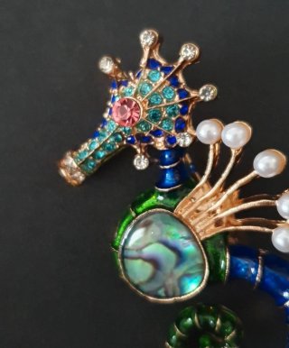 Broche Caballito de Mar Joya