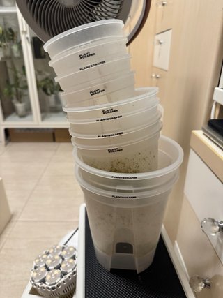 PACK de 10 Macetas Autorriego PLANTSCRAPER
