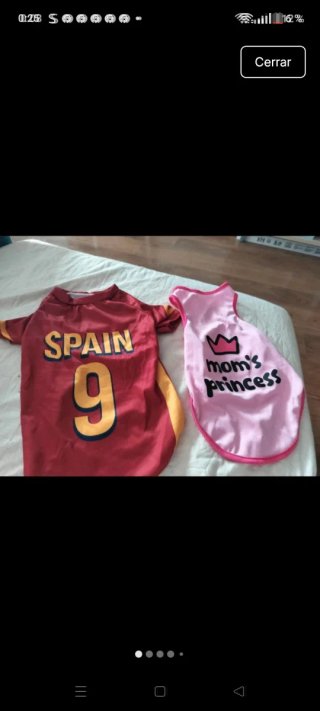 Ropa para perros: España y Mom's Princess