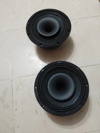 2 Altavoces Beyma 8Cx300Fe Coaxial 8