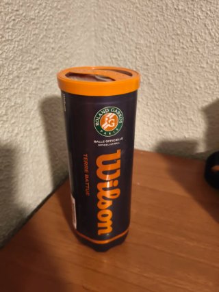 Pelotas de Tenis Wilson Roland Garros