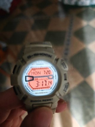Casio G-Shock Mudman G-9000.
