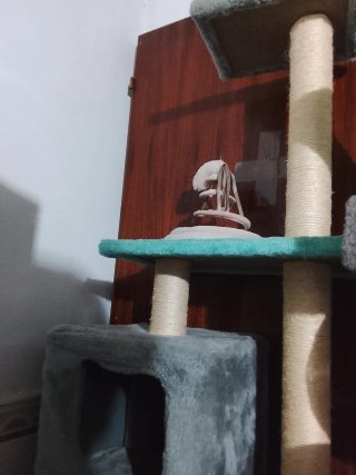 Rascador para gatos de tela y sisal 20€ cada uno