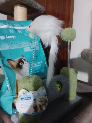 Juguete para gato de tela