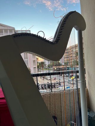 Arpa Paraguaya en venta