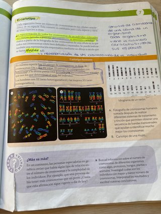Biología y Geología Andalucía. 4o ESO