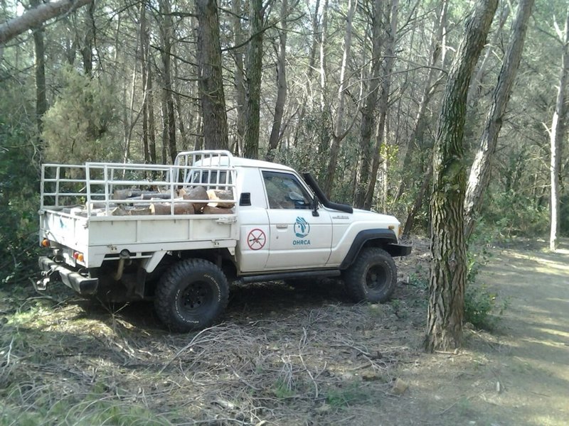 Toyota Land Cruiser HJ 60 pick up - foto 1