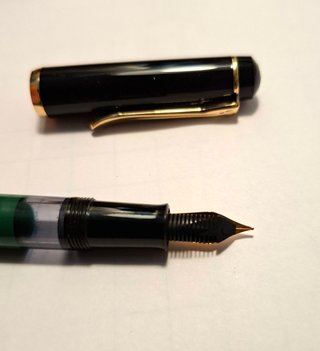 Stilografica Pelikan Verde e Nera