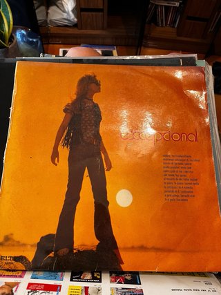 Lote de Vinilos Coleccionista 14 unidades