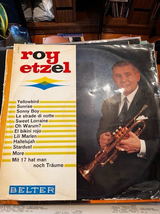 Lote de Vinilos Coleccionista 14 unidades